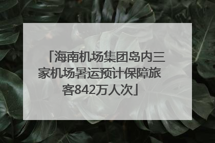 海南机场集团岛内三家机场暑运预计保障旅客842万人次