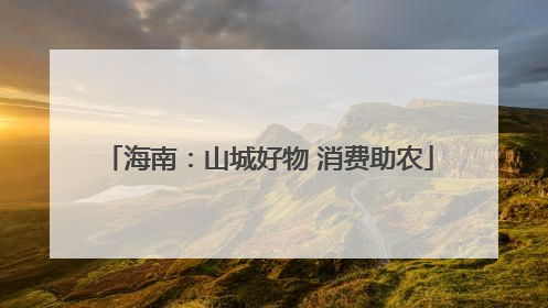 海南：山城好物 消费助农