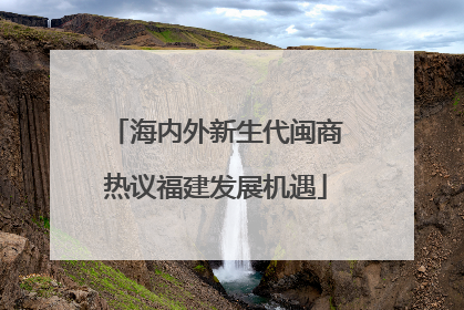 海内外新生代闽商热议福建发展机遇