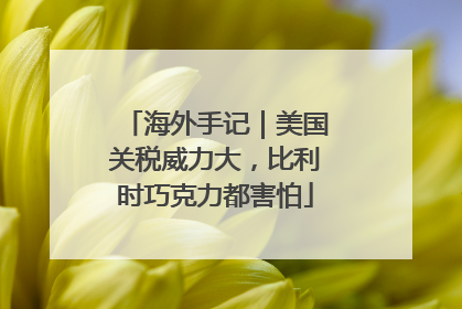 海外手记｜美国关税威力大，比利时巧克力都害怕