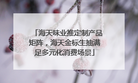 海天味业推定制产品矩阵，海天金标生抽满足多元化消费场景