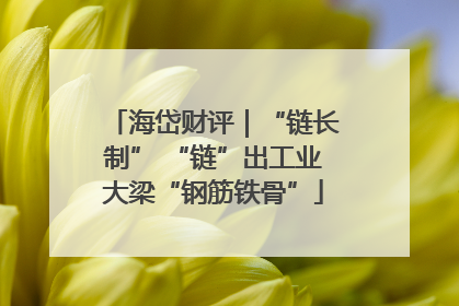 海岱财评｜“链长制” “链”出工业大梁“钢筋铁骨”