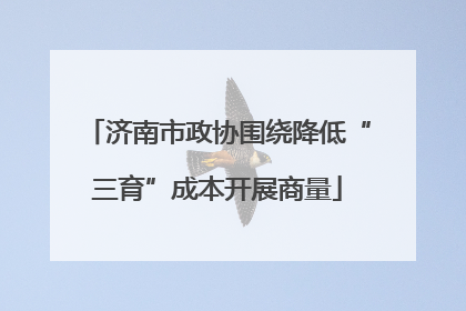 济南市政协围绕降低“三育”成本开展商量