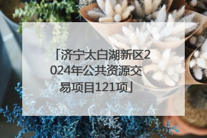 济宁太白湖新区2024年公共资源交易项目121项