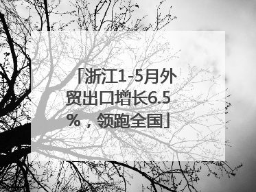 浙江1-5月外贸出口增长6.5%，领跑全国
