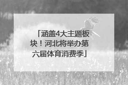 涵盖4大主题板块！河北将举办第六届体育消费季