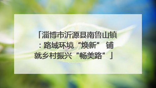 淄博市沂源县南鲁山镇：路域环境“焕新” 铺就乡村振兴“畅美路”