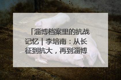 淄博档案里的抗战记忆｜李培南：从长征到抗大，再到淄博的革命足迹