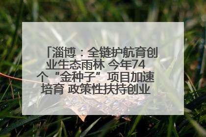 淄博：全链护航育创业生态雨林 今年74个“金种子”项目加速培育 政策性扶持创业9754人