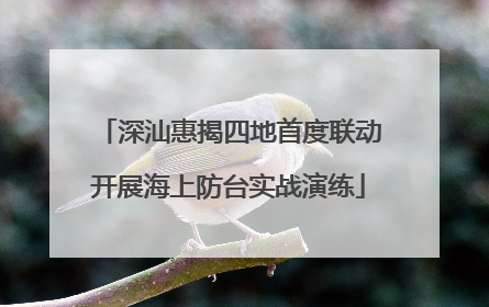 深汕惠揭四地首度联动开展海上防台实战演练