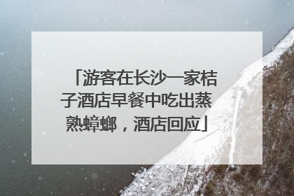 游客在长沙一家桔子酒店早餐中吃出蒸熟蟑螂，酒店回应