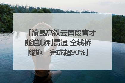 渝昆高铁云南段育才隧道顺利贯通 全线桥隧施工完成超90%