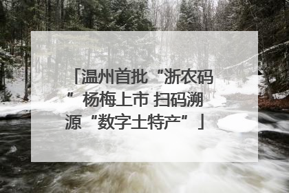 温州首批“浙农码”杨梅上市 扫码溯源“数字土特产”