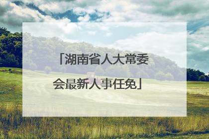 湖南省人大常委会最新人事任免