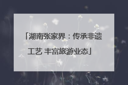 湖南张家界：传承非遗工艺 丰富旅游业态