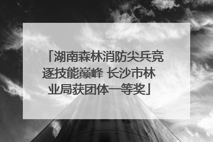 湖南森林消防尖兵竞逐技能巅峰 长沙市林业局获团体一等奖