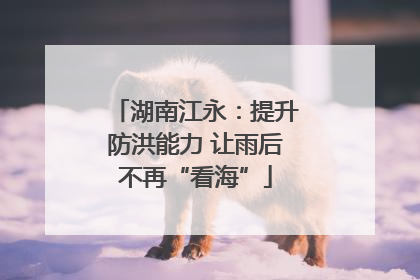 湖南江永：提升防洪能力 让雨后不再“看海”