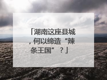 湖南这座县城，何以缔造“辣条王国”？