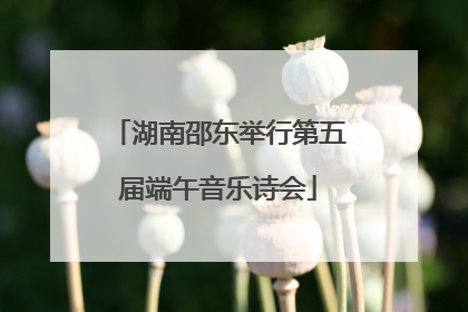 湖南邵东举行第五届端午音乐诗会