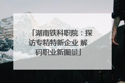 湖南铁科职院：探访专精特新企业 解码职业新图景