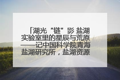 湖光“链”影 盐湖实验室里的星辰与荒原——记中国科学院青海盐湖研究所，盐湖资源化学实验室党总支书记、副主任刘忠