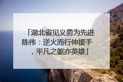 湖北省见义勇为先进陈伟：逆火而行伸援手，平凡之躯亦英雄