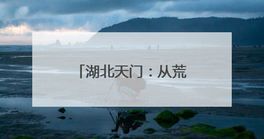 湖北天门：从荒郊田野到城市“天花板” 内陆最大侨乡换“新颜”