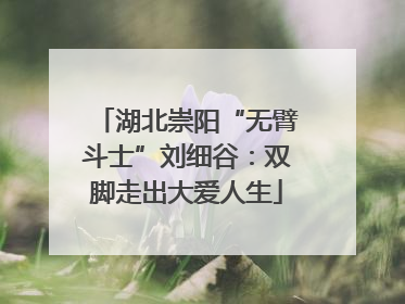 湖北崇阳“无臂斗士”刘细谷：双脚走出大爱人生