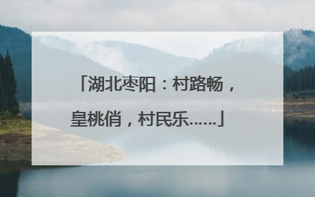 湖北枣阳：村路畅，皇桃俏，村民乐……