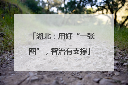 湖北：用好“一张图”，智治有支撑