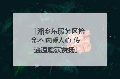 湘乡东服务区拾金不昧暖人心 传递温暖获赞扬