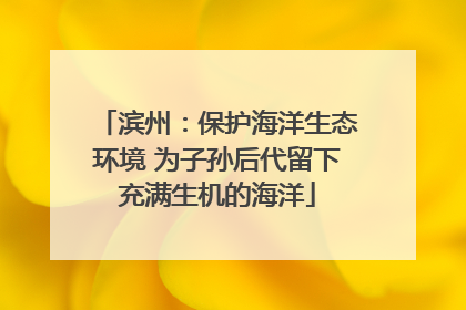 滨州：保护海洋生态环境 为子孙后代留下充满生机的海洋