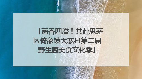 菌香四溢！共赴思茅区倚象镇大寨村第二届野生菌美食文化季
