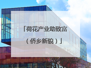 荷花产业助致富（侨乡新貌）