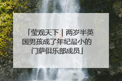 莹观天下｜两岁半英国男孩成了年纪最小的门萨俱乐部成员