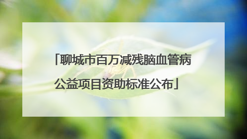 聊城市百万减残脑血管病公益项目资助标准公布