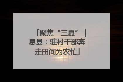 聚焦“三夏”｜息县：驻村干部奔走田间为农忙
