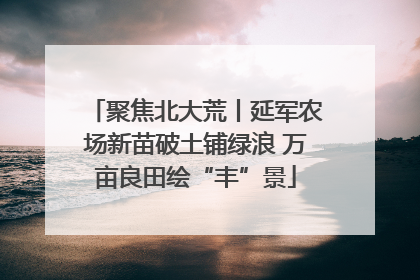 聚焦北大荒丨延军农场新苗破土铺绿浪 万亩良田绘“丰”景