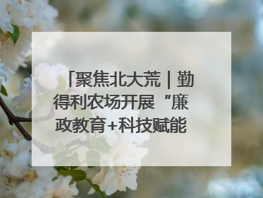 聚焦北大荒｜勤得利农场开展“廉政教育+科技赋能”主题党日活动