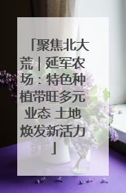聚焦北大荒｜延军农场：特色种植带旺多元业态 土地焕发新活力