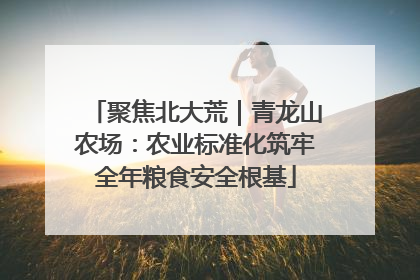 聚焦北大荒｜青龙山农场：农业标准化筑牢全年粮食安全根基