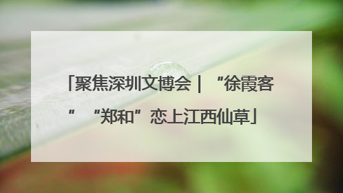 聚焦深圳文博会｜“徐霞客”“郑和”恋上江西仙草