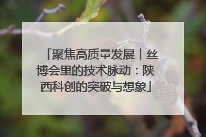 聚焦高质量发展丨丝博会里的技术脉动：陕西科创的突破与想象