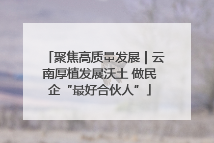 聚焦高质量发展｜云南厚植发展沃土 做民企“最好合伙人”