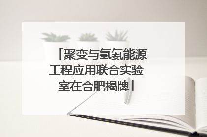 聚变与氢氨能源工程应用联合实验室在合肥揭牌