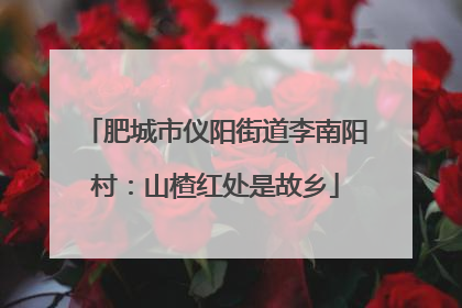 肥城市仪阳街道李南阳村：山楂红处是故乡