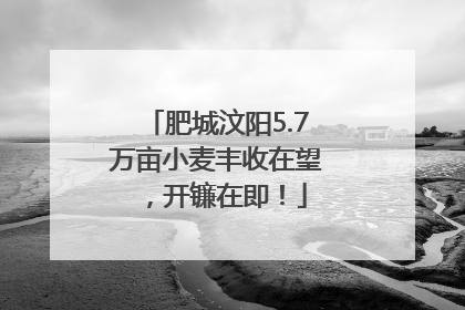 肥城汶阳5.7万亩小麦丰收在望，开镰在即！