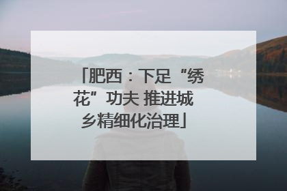 肥西：下足“绣花”功夫 推进城乡精细化治理