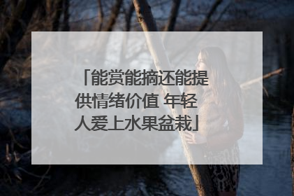能赏能摘还能提供情绪价值 年轻人爱上水果盆栽
