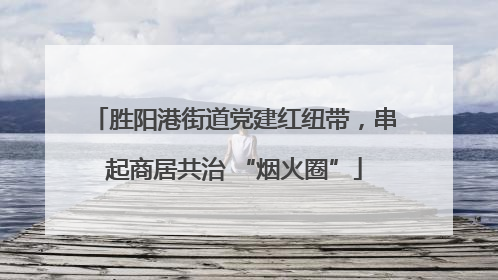 胜阳港街道党建红纽带，串起商居共治 “烟火圈”